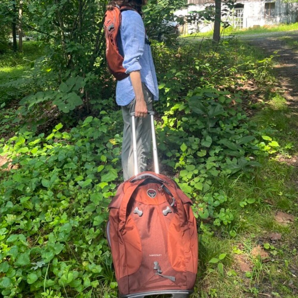Osprey Meridian Wheeled Convertible Rolling Backpack 22 inch with dayback, 60L - Picture 2 of 16